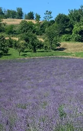 La Ceramica Moline 비코포르테