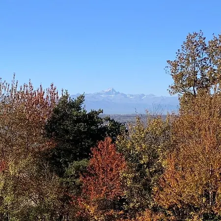 B&B La Ceramica Moline 비코포르테