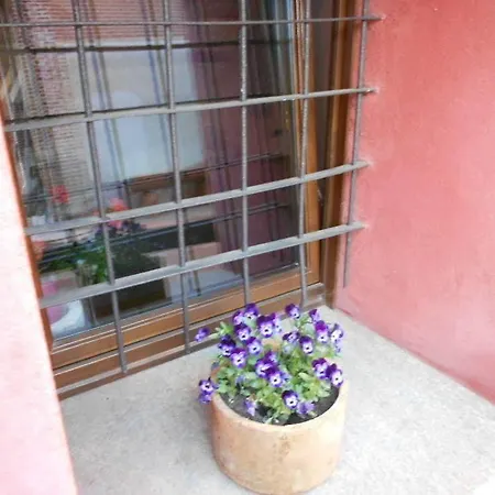 La Ceramica Moline *