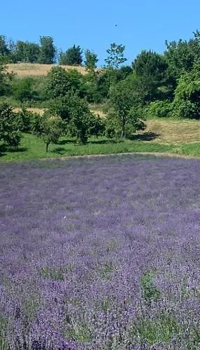 La Ceramica Moline Vicoforte