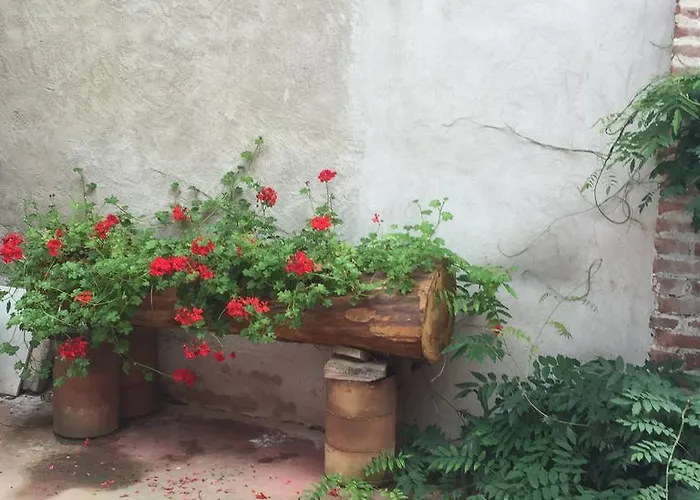 La Ceramica Moline 3*