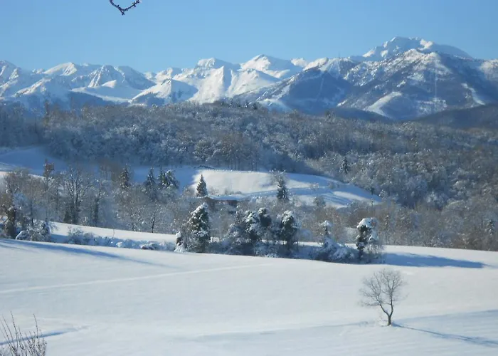 Bed & Breakfast La Ceramica Moline 3*
